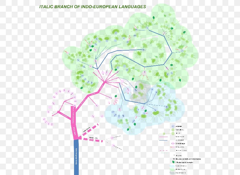 Italic Languages Romance Languages Indo-European Languages Linguistics, PNG, 564x599px, Italic Languages, Aromanian, Branch, Dalmatian, Flora Download Free