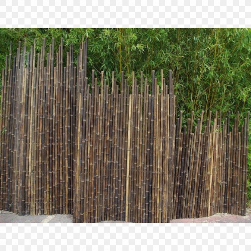 Picket Fence Tropical Woody Bamboos Phyllostachys Nigra Garden, PNG, 900x900px, Picket Fence, Assistive Cane, Bamboo, Bambou, Fence Download Free