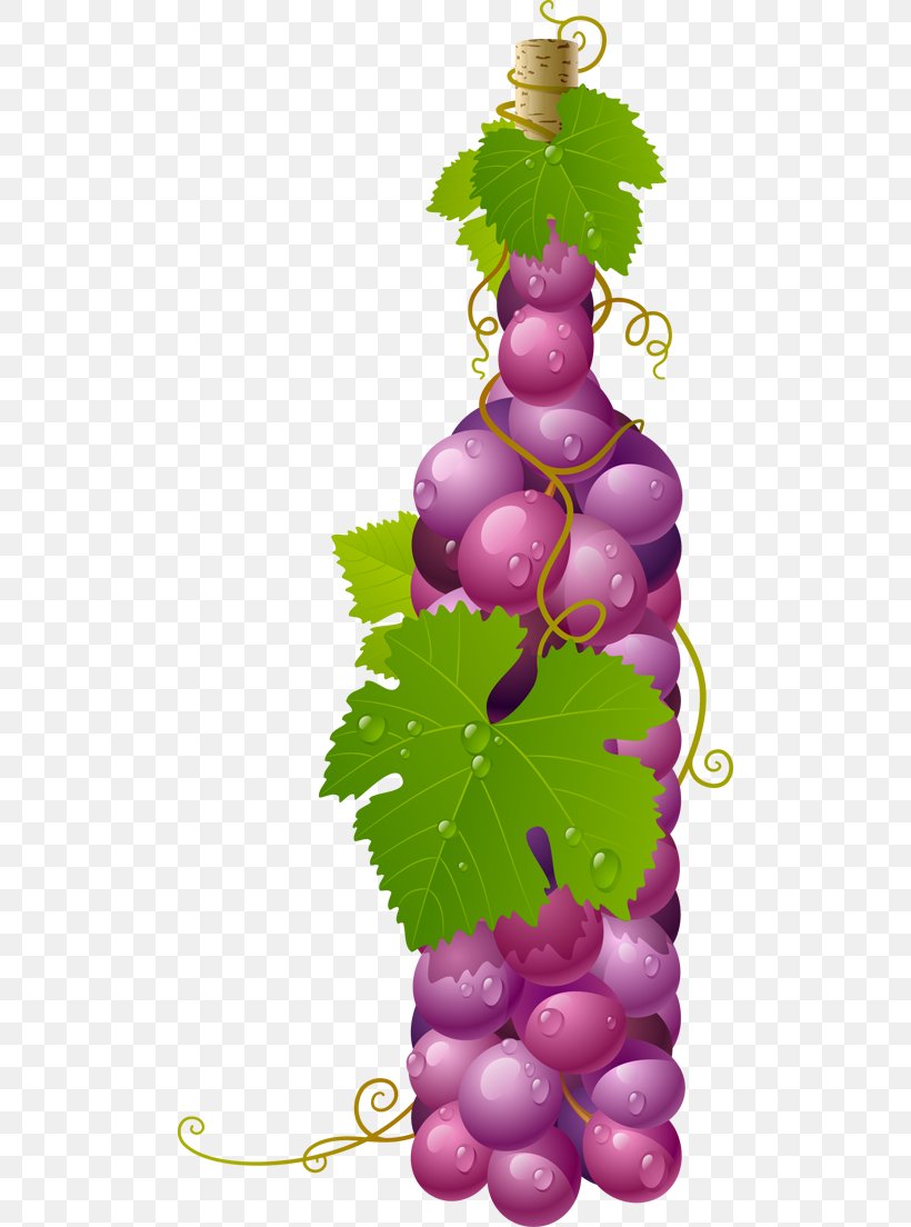 Wine Alicante Bouschet Grape Vector Graphics Clip Art, PNG, 500x1104px, Wine, Common Grape Vine, Flowering Plant, Food, Fruit Download Free