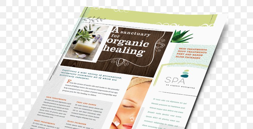 Flyer Marketing Brochure Day Spa, PNG, 687x420px, Flyer, Advertising, Beauty, Beauty Parlour, Brand Download Free
