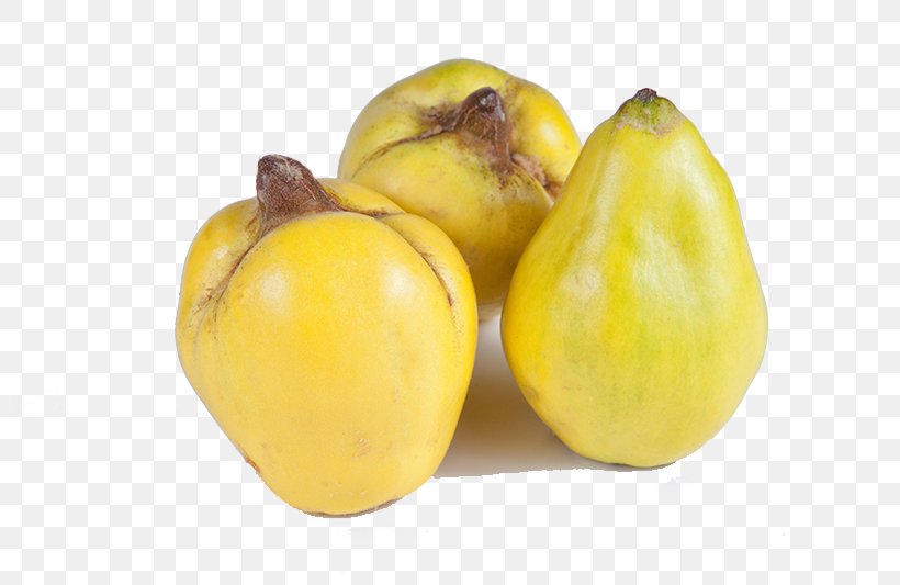 Fruit Tree Quince Pome Pear, PNG, 800x533px, Fruit, Apple, Food, Fruit Tree, Kernobst Download Free