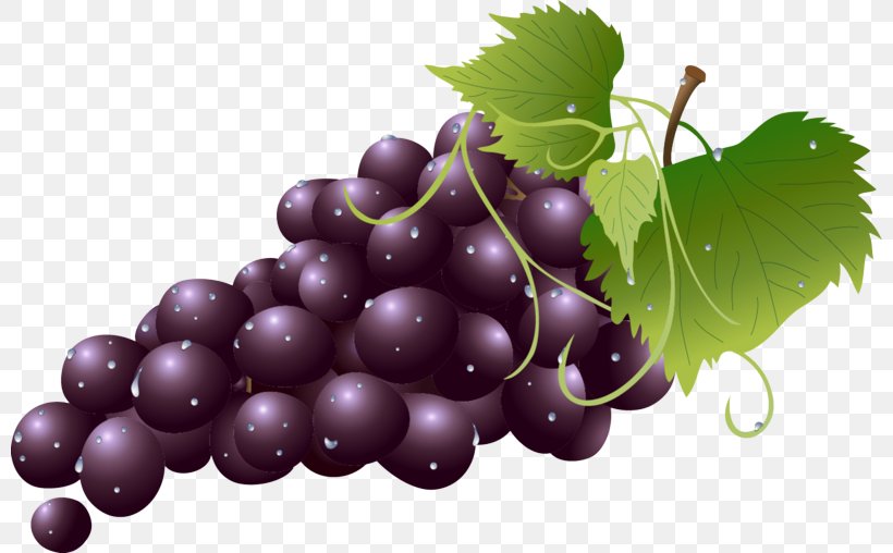 Grape Grape Leaves Fruit Seedless Fruit Grapevine Family, PNG, 800x508px, Grape, Food, Fruit, Grape Leaves, Grapevine Family Download Free