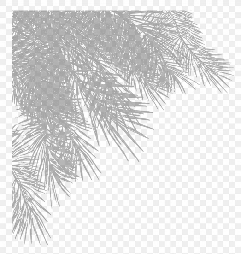 Christmas Tree Leaf Branch, PNG, 2070x2183px, Tree, Black And White, Branch, Christmas, Christmas Tree Download Free