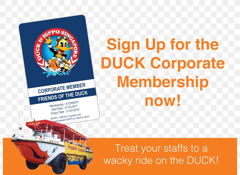 Duck Tour Duck & Hippo Bus DUCKtours, PNG, 800x600px, Duck Tour, Advertising, Banner, Brand, Bus Download Free