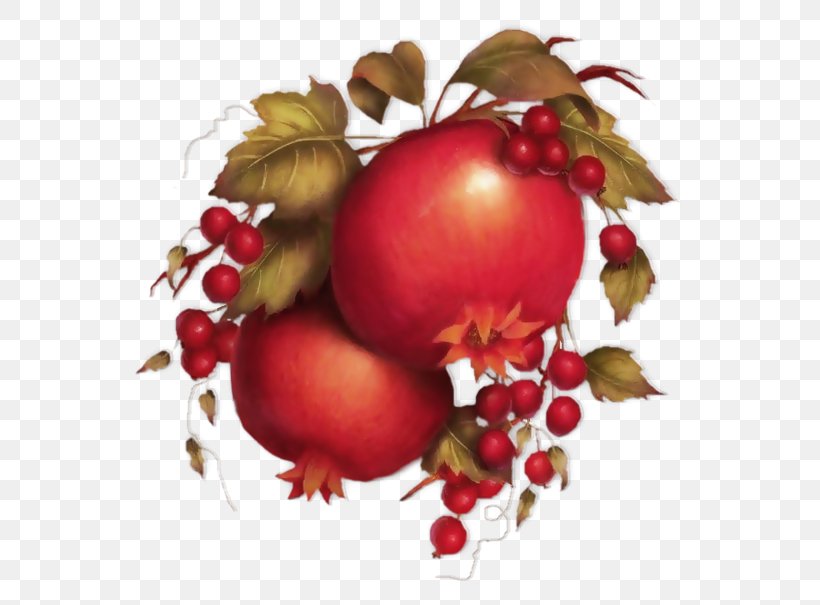 Pomegranate Food Rose Hip Still Life Photography Cranberry, PNG, 600x605px, Pomegranate, Apple, Christmas, Christmas Ornament, Cranberry Download Free