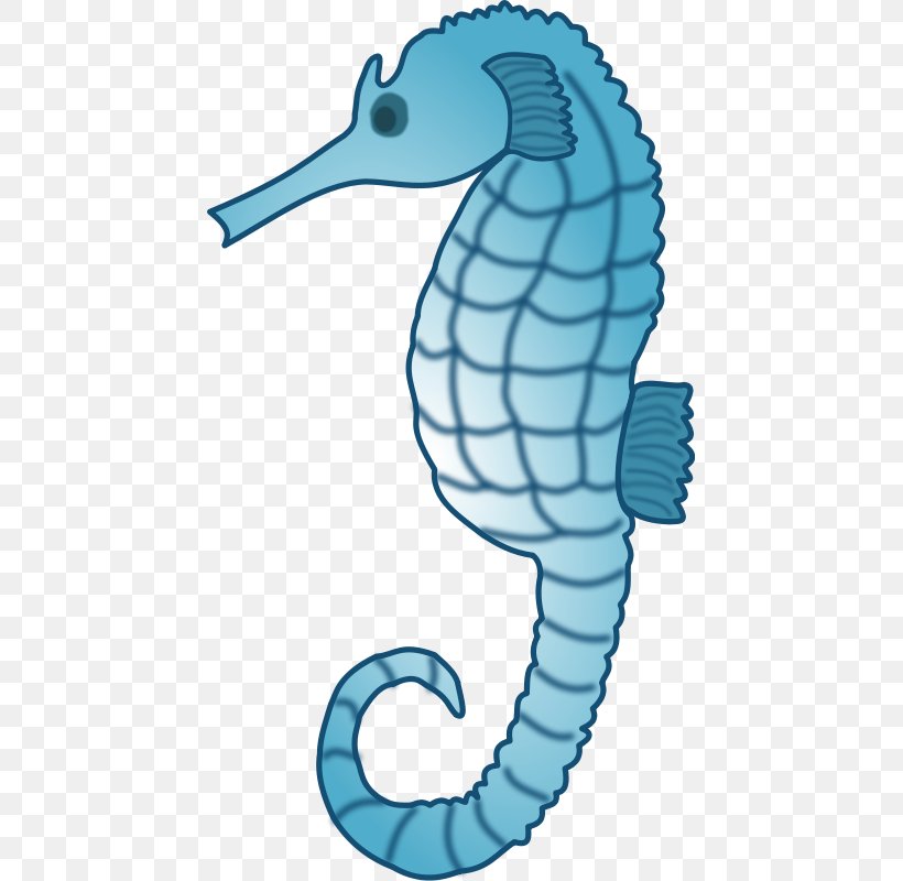 Seahorse Aquatic Animal Deep Sea Creature Clip Art, PNG, 443x800px, Seahorse, Animal, Aquatic Animal, Beak, Crab Download Free