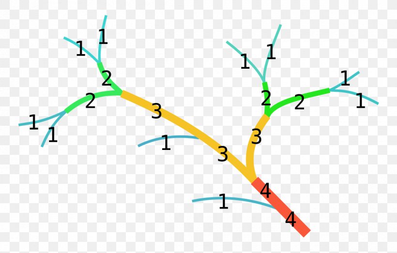 Strahler Number Stream Order Hydrology, PNG, 1200x766px, Strahler Number, Area, Arthur Newell Strahler, Branch, Directed Graph Download Free