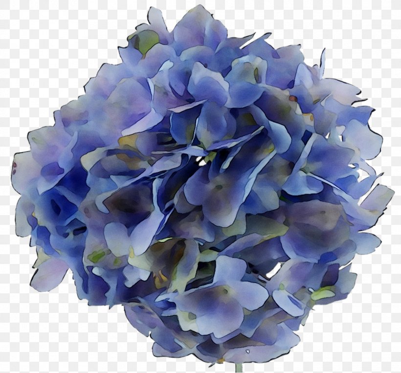 Hydrangea Cut Flowers Flower Bouquet Petal, PNG, 1141x1062px, Hydrangea, Artificial Flower, Blue, Bouquet, Cornales Download Free