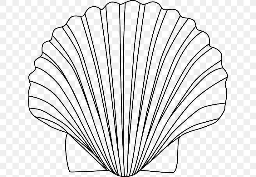 Seashell Clam Clip Art, PNG, 640x566px, Seashell, Black And White, Clam, Conch, Drawing Download Free