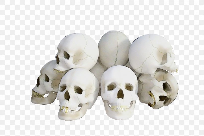 Bone White Skull Head, PNG, 960x640px, Watercolor, Bone, Head, Paint, Skull Download Free