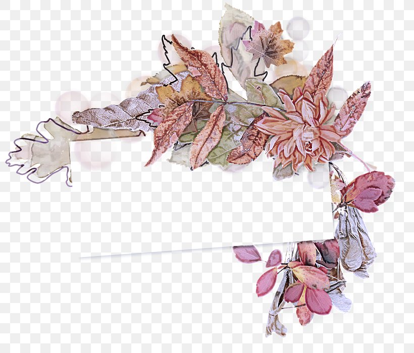 Leaf Flower Plant Lilac Branch, PNG, 800x699px, Leaf, Branch, Cut Flowers, Flower, Lilac Download Free