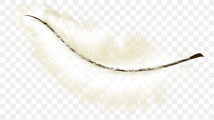 Silver Background, PNG, 750x462px, Feather, Body Jewelry, Jewellery, Metal, Necklace Download Free