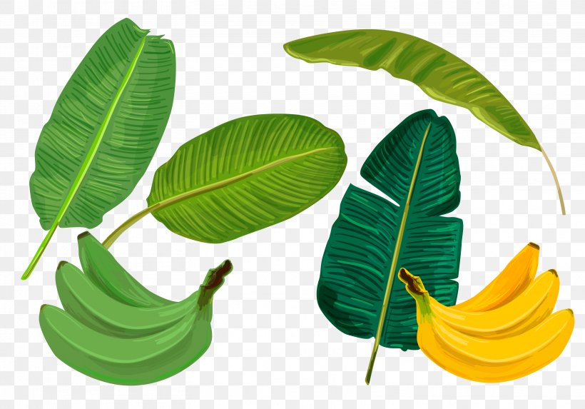 Banana Leaf Sadhya, PNG, 3133x2193px, Banana Leaf, Art, Banana, Leaf, Plant Download Free