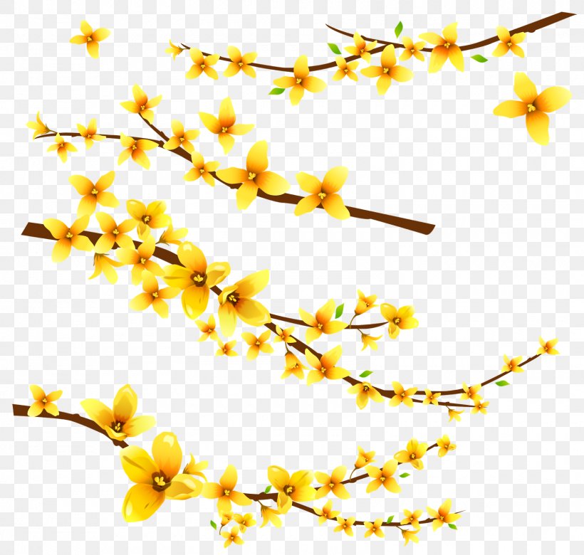 Flower Information Clip Art, PNG, 1600x1523px, Flower, Animation, Branch, Computer Software, Cut Flowers Download Free