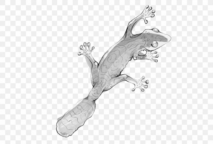 Lizard Body Jewellery Line Art White, PNG, 1748x1181px, Lizard, Black And White, Body Jewellery, Body Jewelry, Drawing Download Free