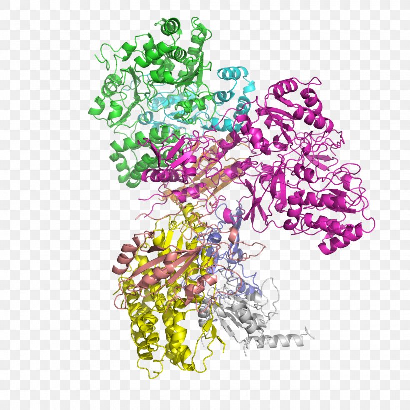 NADH:ubiquinone Oxidoreductase Nicotinamide Adenine Dinucleotide Succinate Dehydrogenase Protein Subunit, PNG, 1620x1620px, Nadhubiquinone Oxidoreductase, Art, Citric Acid Cycle, Coenzyme, Dehydrogenase Download Free