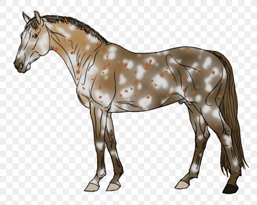 Mule Foal Stallion Halter Mare, PNG, 900x717px, Mule, Animal Figure, Bridle, Colt, Dog Harness Download Free