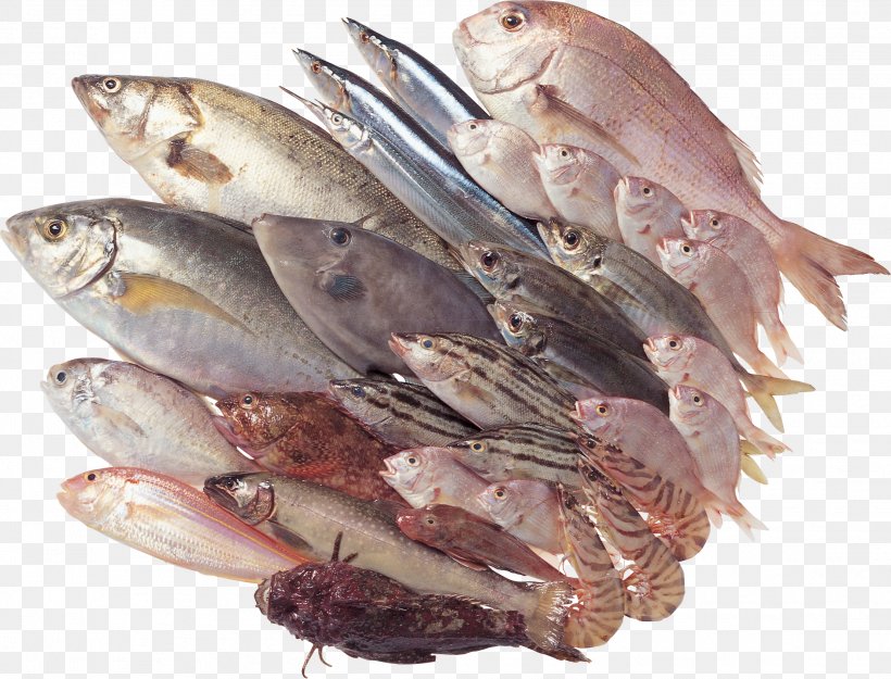 Seafood Fish As Food Stuffing, PNG, 2219x1692px, Fish, Animal Source Foods, Computer Software, Depositfiles, Fish Products Download Free