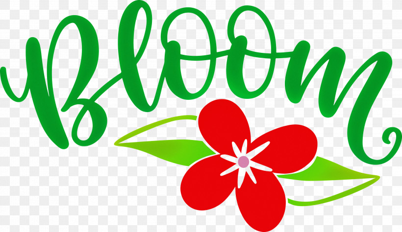 Bloom Spring Flower, PNG, 2999x1734px, Bloom, Flower, Green, Leaf, Line Download Free