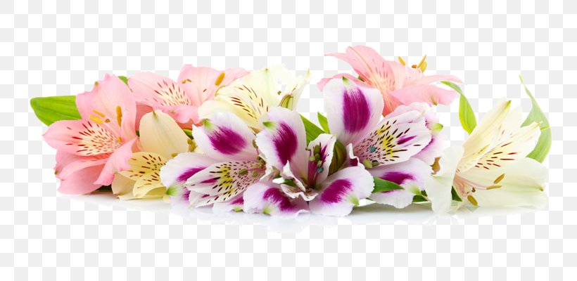 Border Flowers Floral Design Clip Art, PNG, 800x400px, Border Flowers, Blossom, Cut Flowers, Death, Floral Design Download Free