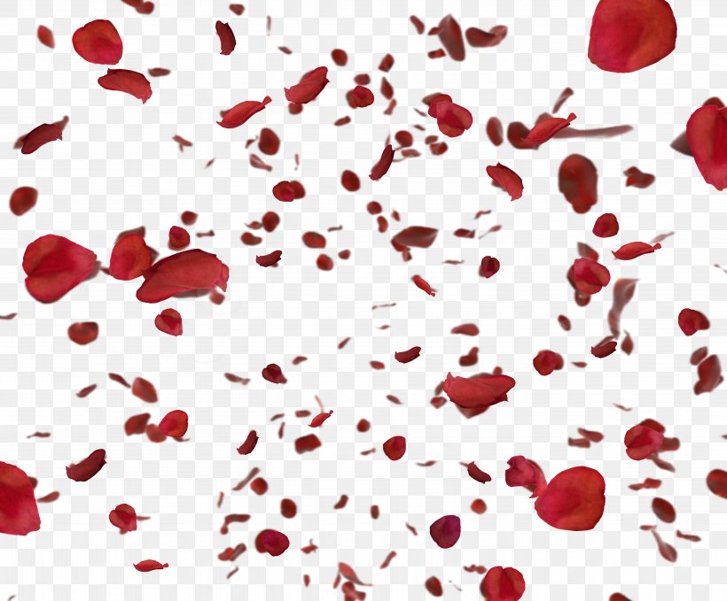 Petal Animation Flower, PNG, 5629x4666px, Petal, Animation, Flower, Footage, Heart Download Free
