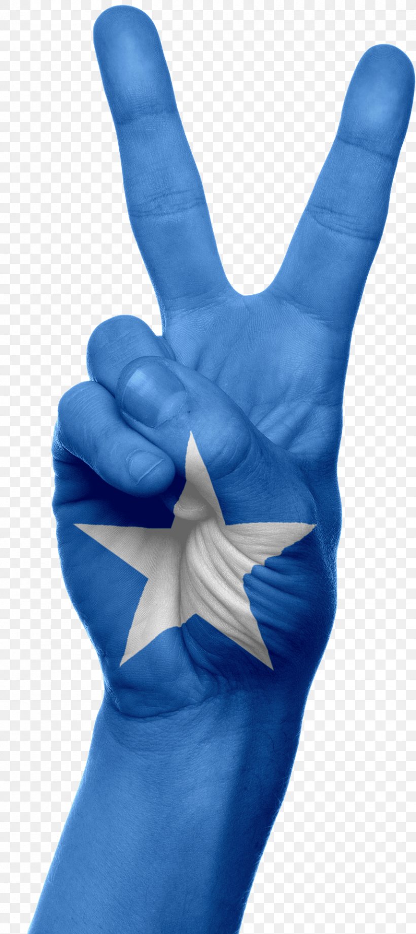 Somalia Somalis Ethiopian–Somali Conflict, PNG, 855x1920px, Somalia, Cobalt Blue, Country, Electric Blue, Finger Download Free