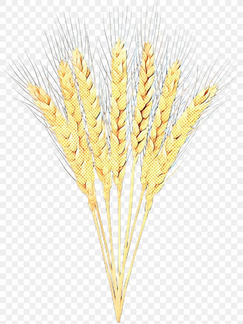 Wheat Cartoon, PNG, 2254x3000px, Barley, Cereal, Cereal Germ, Crop, Durum Download Free