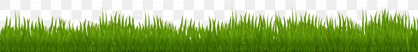 Wheatgrass Green Leaf Plant Stem, PNG, 8000x1011px, Grasses, Family, Grass, Grass Family, Green Download Free