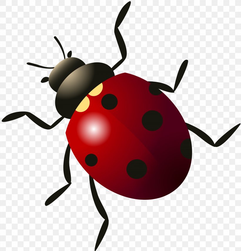 Beetle Ladybird, PNG, 4088x4254px, Beetle, Arthropod, Artwork, Coccinella Septempunctata, Coleomegilla Maculata Download Free