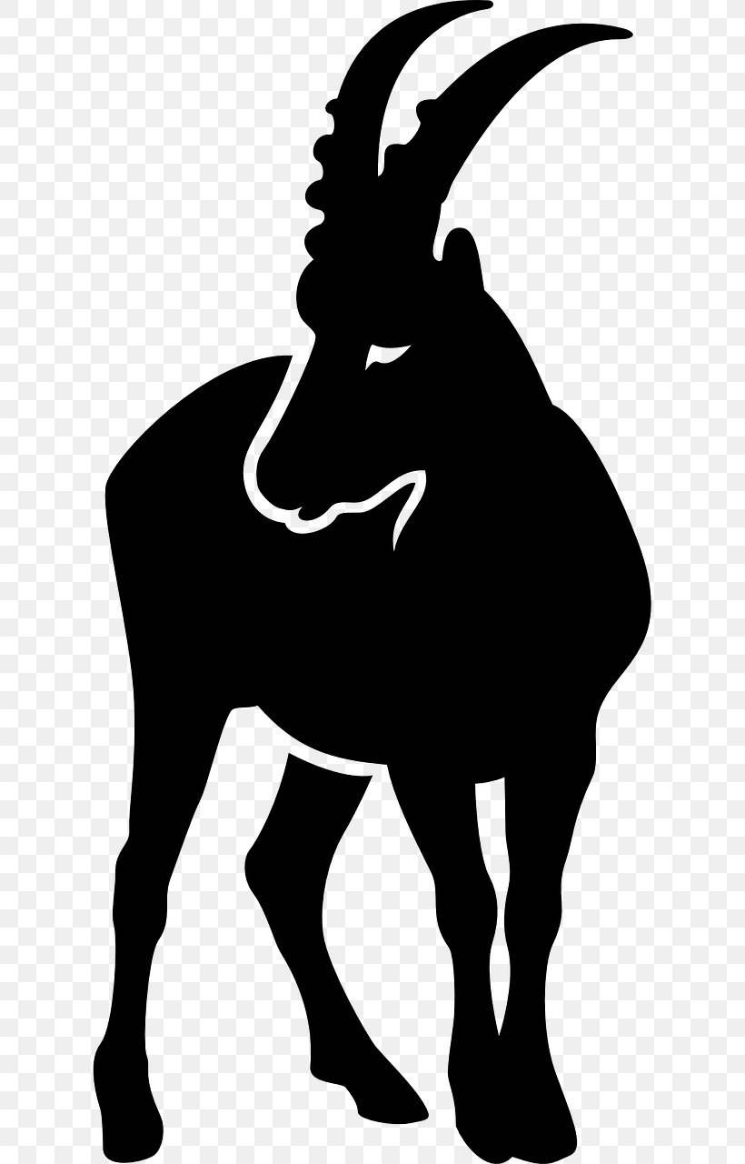 Capricorn Astrology Astrological Sign Horoscope Zodiac, PNG, 640x1280px, Capricorn, Aquarius, Astrological Sign, Astrological Symbols, Astrology Download Free