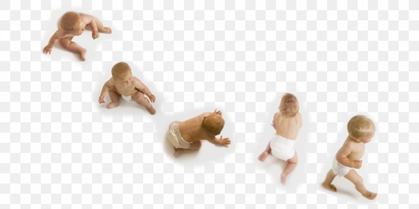 Child Infant Crawling Sitting Developmental Psychology, PNG, 1000x500px, Child, Animal Figure, Carnivoran, Child Development Stages, Crawling Download Free