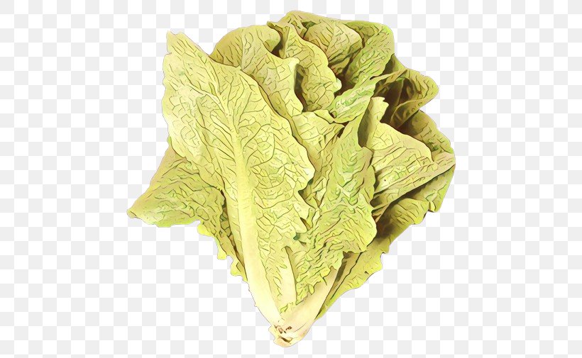 Leaf Cabbage Romaine Lettuce Leaf Vegetable Lettuce, PNG, 500x505px, Cartoon, Cabbage, Flower, Food, Leaf Download Free