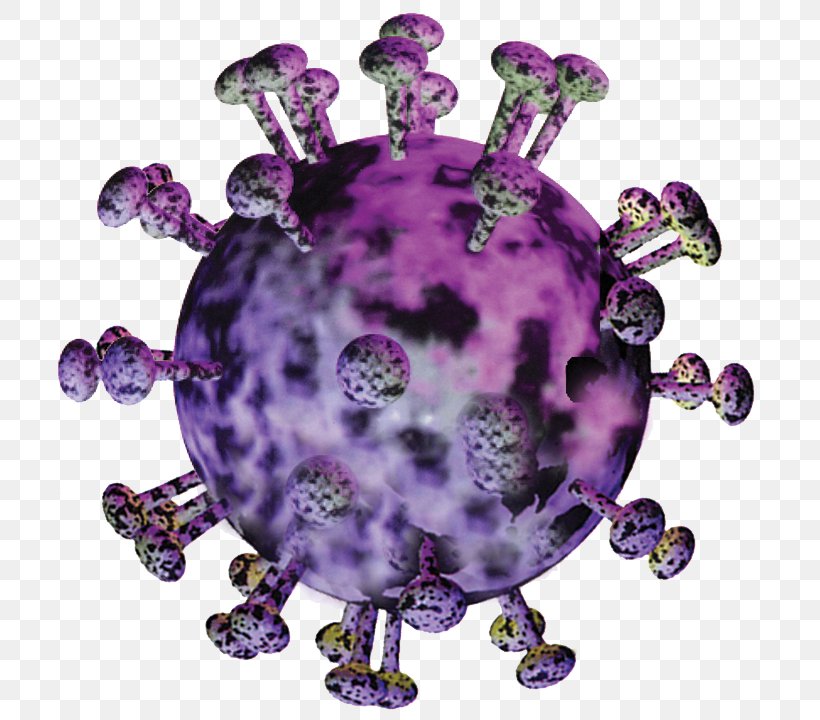 Organism, PNG, 709x720px, Organism, Purple Download Free