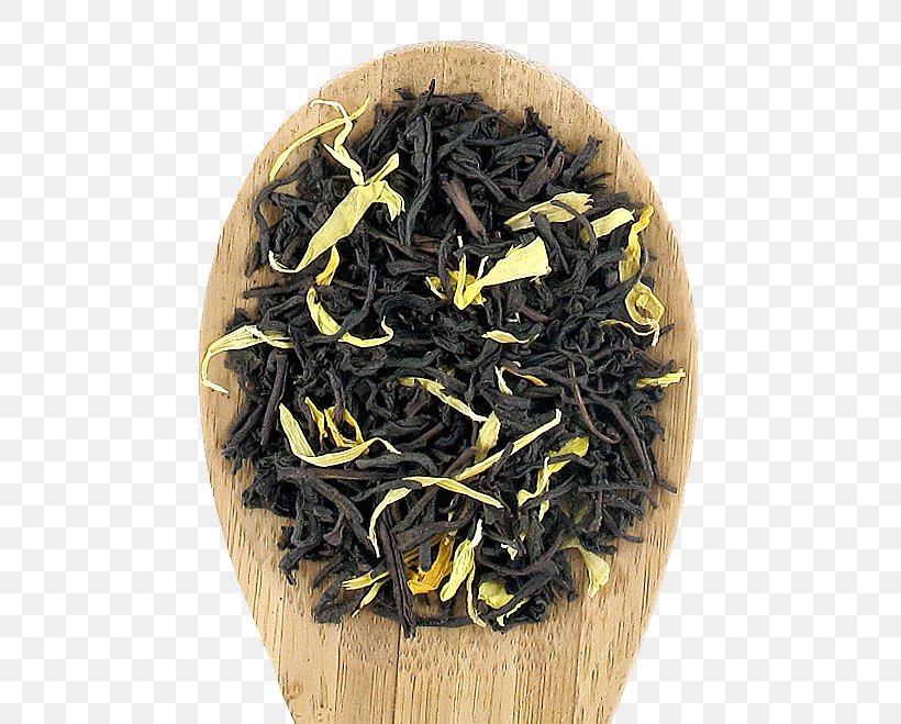 Tea Plant Nilgiri Tea Dianhong Keemun, PNG, 572x659px, Tea, Assam Tea, Bai Mudan, Baihao Yinzhen, Bancha Download Free