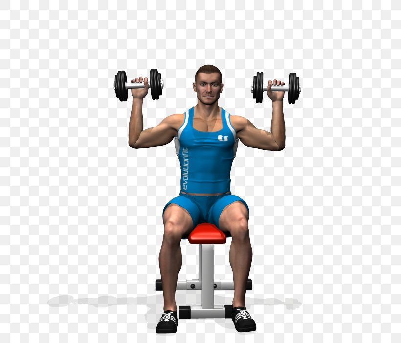 Weight Training Overhead Press Dumbbell Physical Exercise Shoulder, PNG, 700x700px, Watercolor, Cartoon, Flower, Frame, Heart Download Free