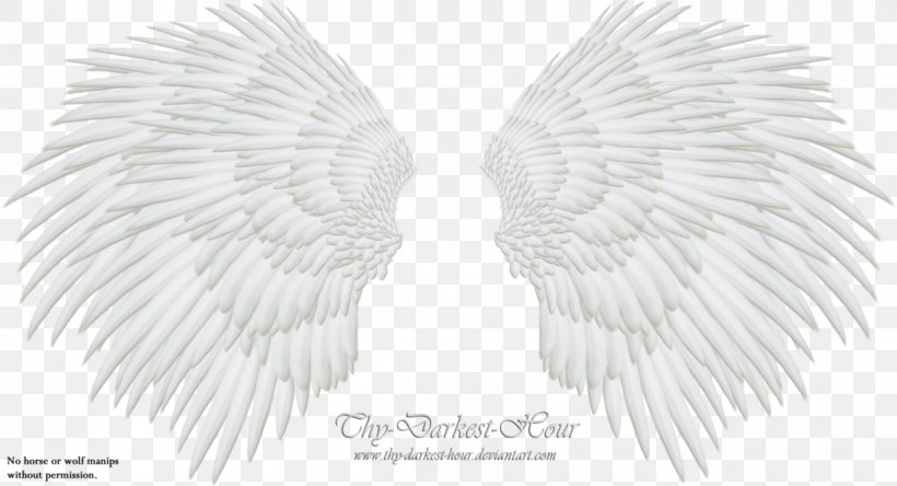 White Black Pattern, PNG, 1213x658px, White, Beak, Black, Black And White, Feather Download Free