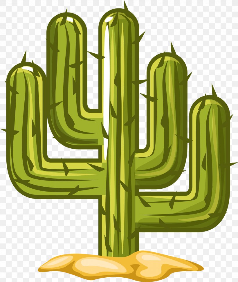 Cactus. Piante Grasse Succulent Plant Plants Green Illustration, PNG, 1685x2000px, Succulent Plant, Cactus, Decorative Arts, Flowering Plant, Flowerpot Download Free