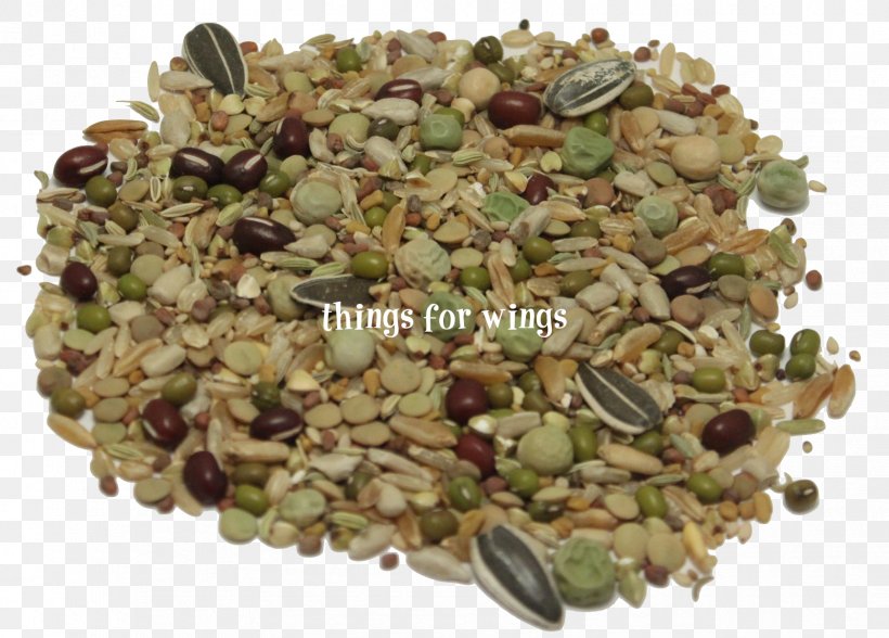 Common Zinnia Seed Wood Sprouting Herbaceous Plant, PNG, 1682x1208px, Common Zinnia, Annual Plant, Biennial Plant, Brown Rice, Commodity Download Free
