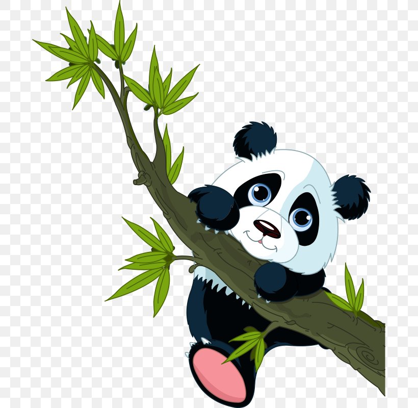 Giant Panda Red Panda Bear Cartoon Clip Art, PNG, 693x800px, Giant Panda, Art, Bamboo, Bear, Branch Download Free
