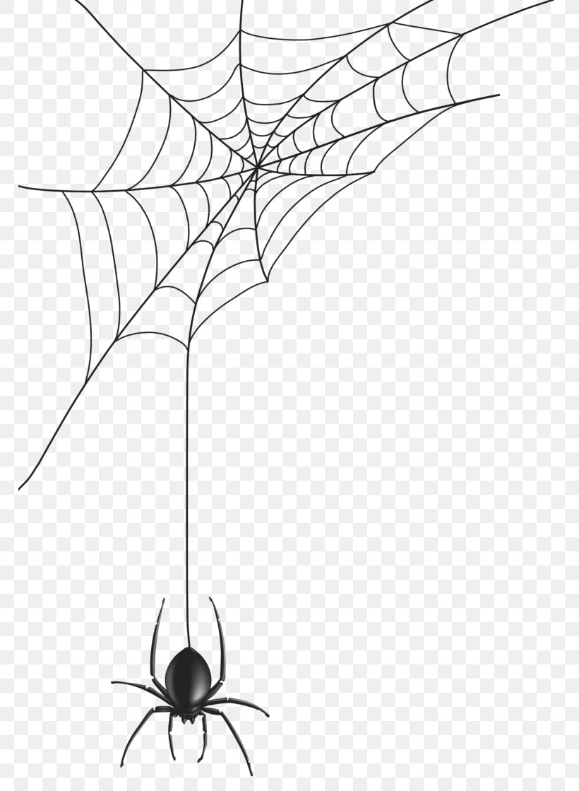 Spider Web Clip Art Image, PNG, 768x1119px, Spider, Arachnid, Area, Artwork, Black And White Download Free