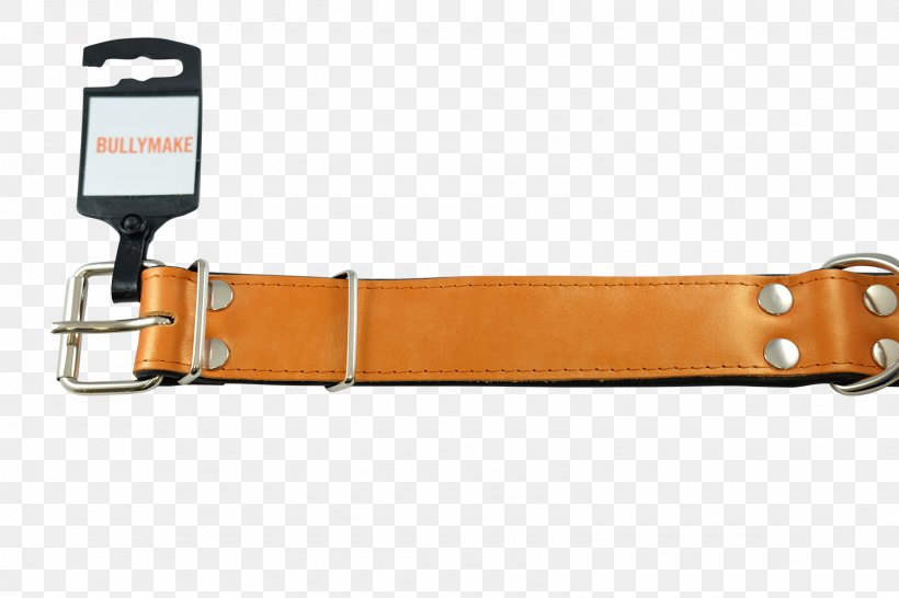 Strap Belt, PNG, 1600x1067px, Strap, Belt, Orange Download Free