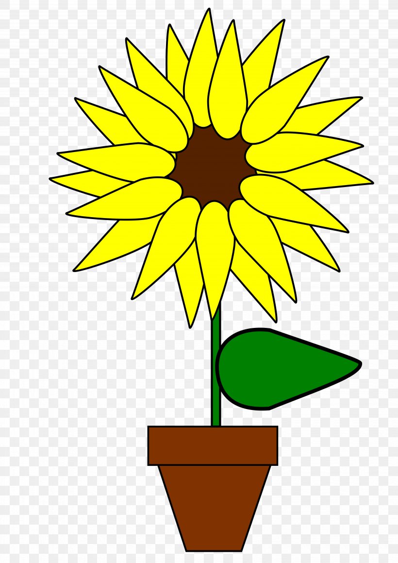 Common Sunflower Clip Art, PNG, 5555x7856px, Common Sunflower, Area, Artwork, Black And White, Cut Flowers Download Free