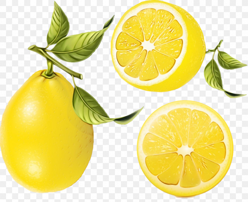 Natural Foods Citrus Persian Lime Lemon Fruit, PNG, 1000x817px, Watercolor, Citrus, Food, Fruit, Lemon Download Free