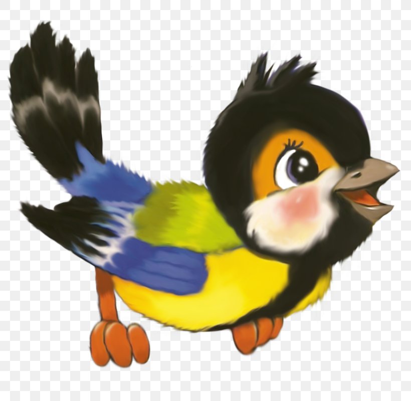 Bird Kindergarten Image Vector Graphics Child, PNG, 800x800px, Bird, Animated Cartoon, Animation, Beak, Cartoon Download Free