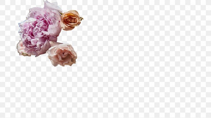 Cut Flowers Body Jewellery Petal Pink M, PNG, 1600x900px, Cut Flowers, Body Jewellery, Body Jewelry, Flower, Jewellery Download Free