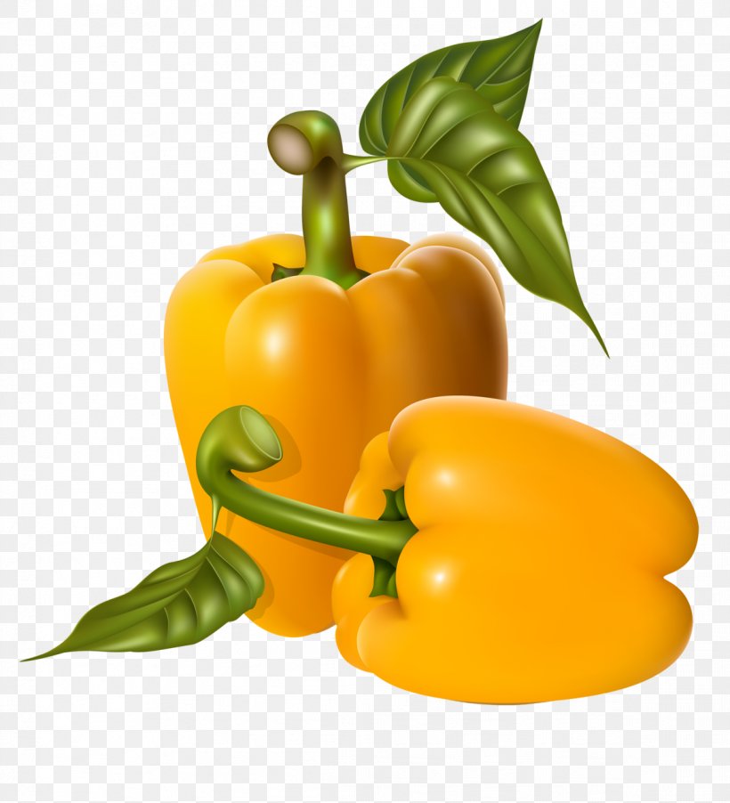 Bell Pepper Vegetable Greens Clip Art Vector Graphics, PNG, 1163x1280px, Bell Pepper, Bell Peppers And Chili Peppers, Chili Pepper, Cucumber, Diet Food Download Free