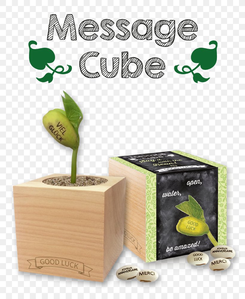 Cube Flowerpot Green Promotional Merchandise Environmentally Friendly, PNG, 799x1000px, Cube, Bean, Environmentally Friendly, Flower, Flowerpot Download Free