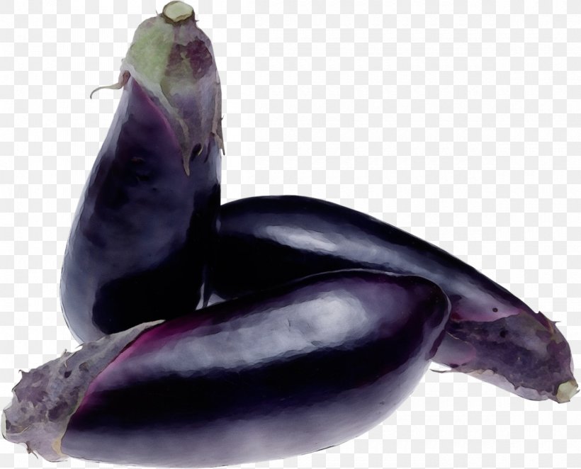 Eggplant Vegetable Purple Plant Marine Mammal, PNG, 1200x969px, Watercolor, Cetacea, Dolphin, Eggplant, Marine Mammal Download Free