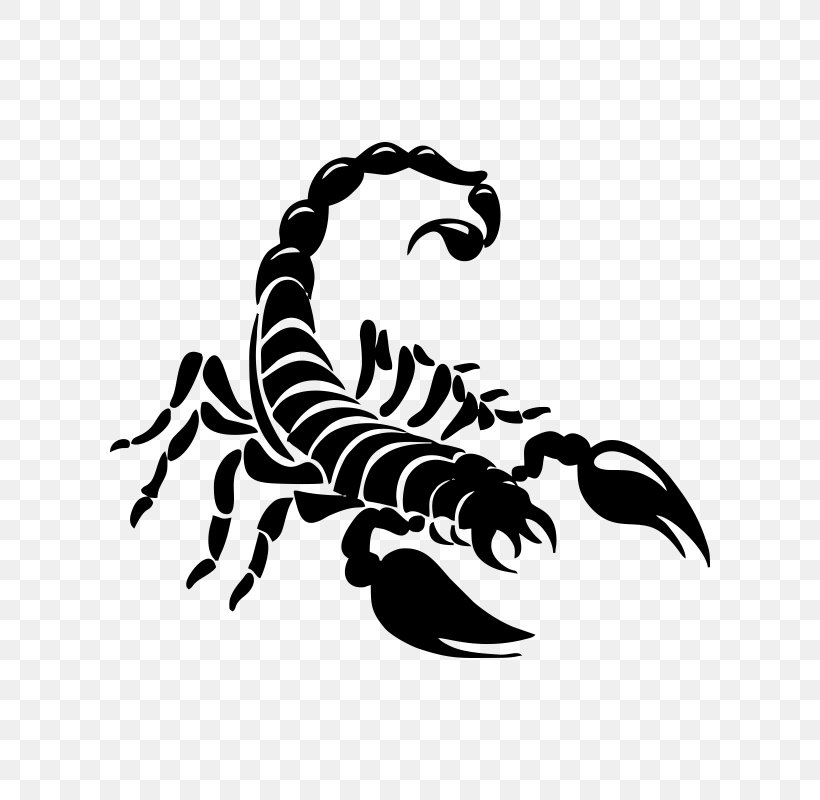 Logo, PNG, 800x800px, Logo, Arachnid, Arthropod, Black And White, Claw Download Free