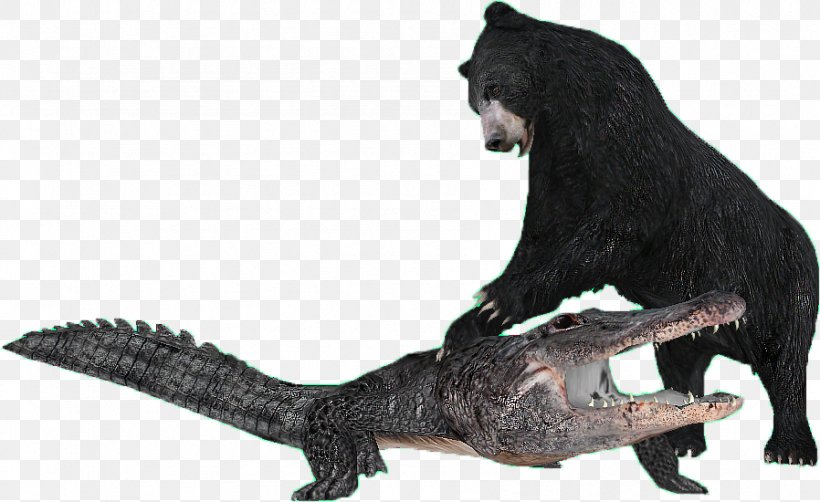 Nile Crocodile American Black Bear Tiger, PNG, 898x550px, Crocodile, Alligator, American Alligator, American Black Bear, Animal Download Free